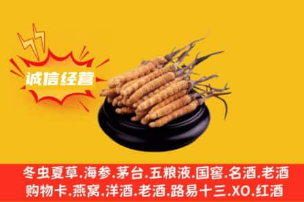 宣恩县回收冬虫夏草